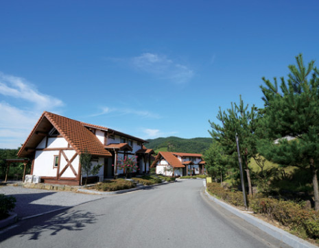 Boseong Green Tea Resort2