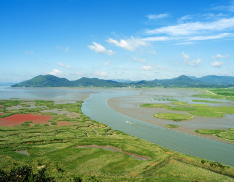 Suncheonman Bay Wetland5