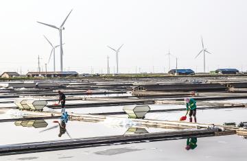 2016 관광사진 공모전_일반부문) 고정규-염전